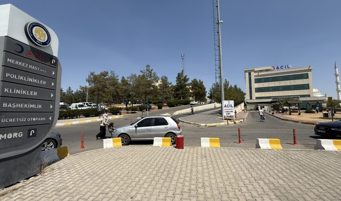 Diyarbakır’ın Çınar ilçesinde kız kaçıran gencin annesi öldürüldü.