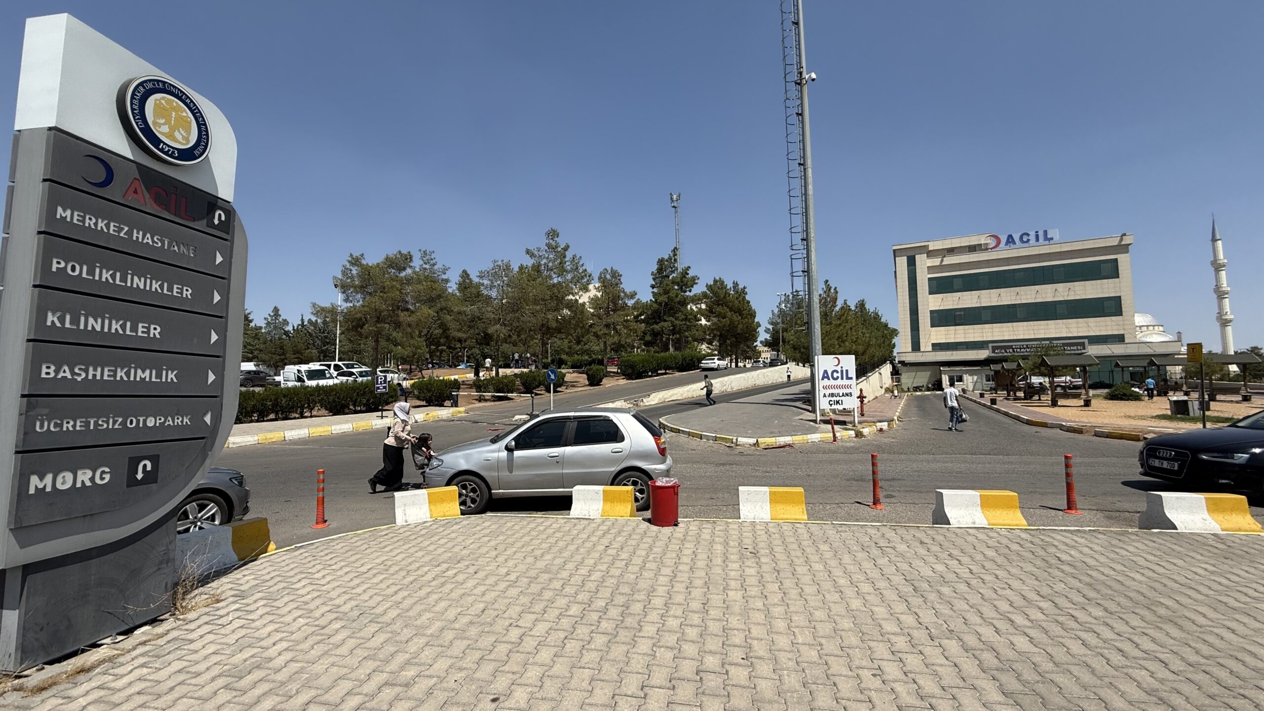 Diyarbakır’ın Çınar ilçesinde kız kaçıran gencin annesi öldürüldü.