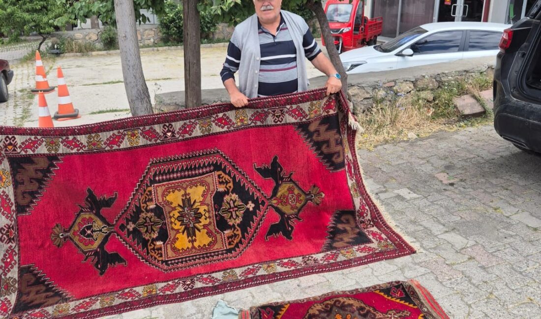 Sivas'ın Divriği ilçesinde, bir evin duvarını delerek girdiği evden yaklaşık
