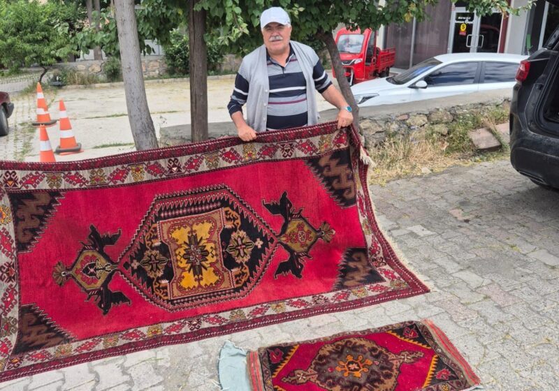 Sivas'ın Divriği ilçesinde, bir evin duvarını delerek girdiği evden yaklaşık