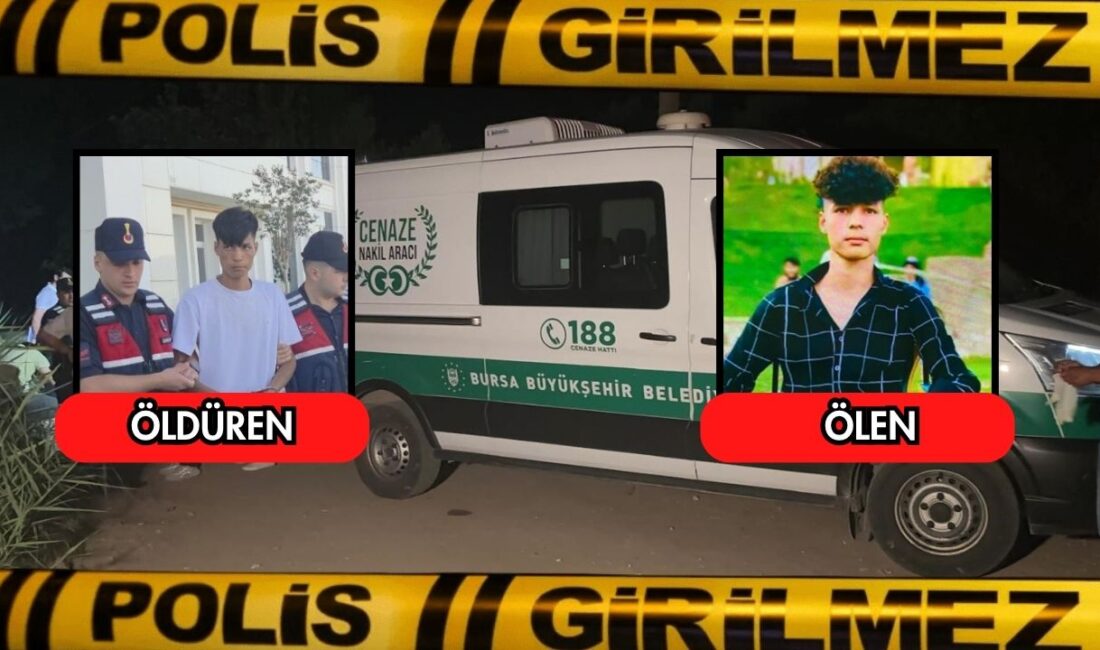  Bursa'nın Orhangazi ilçesinde bir kişinin boğazından bıçaklanarak öldürülmesiyle ilgili gözaltına