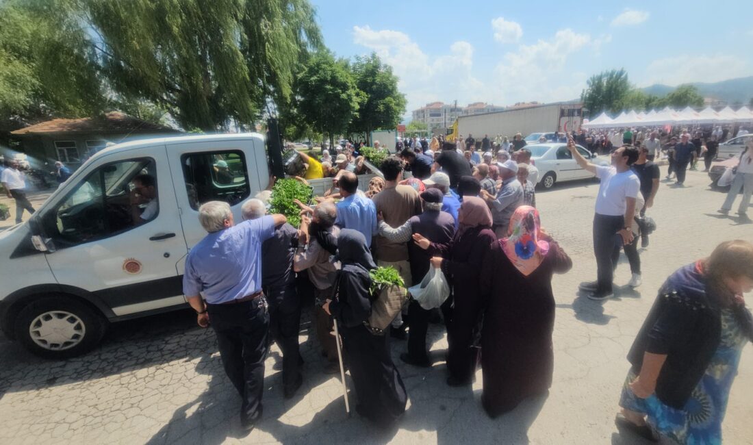 Afyonkarahisar Belediyesi tarafından, Ankara Büyükşehir Belediyesi’nin katkılarıyla gerçekleştirilen domates ve
