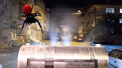 
Afyonkarahisar’ın Çay ilçesinde Zehirli örümcek türleri arasında yer alan uğur