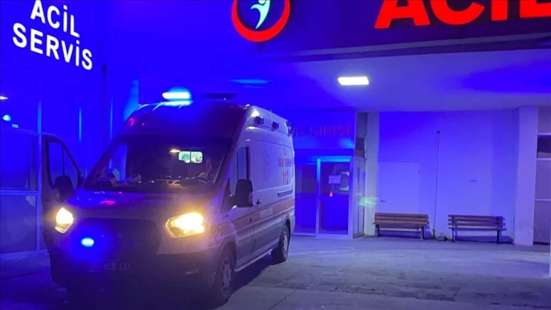 İzmir’in Selçuk ilçesinde takla atan pikabın sürücüsü hayatını kaybetti, 2
