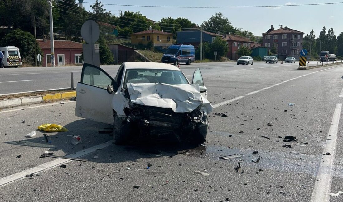 Afyonkarahisar'ın Çay ilçesinde iki otomobilin çarpışması sonucu 1 kişi öldü,