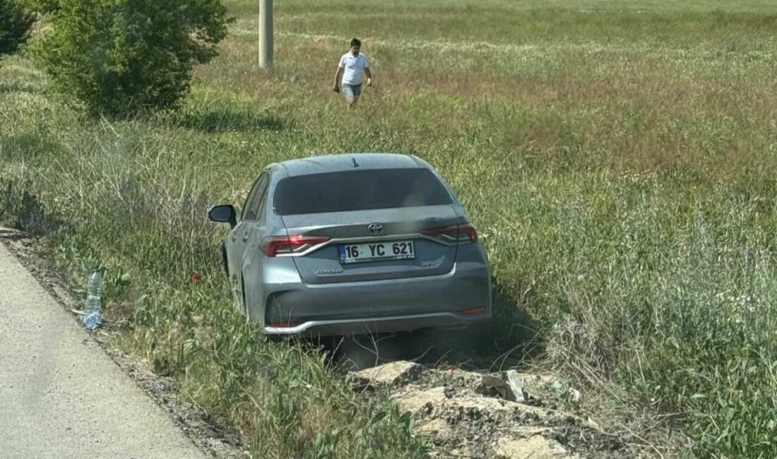 AFYONKARAHİSAR (AA) – Afyonkarahisar'da meydana gelen trafik kazalarında 10 kişi