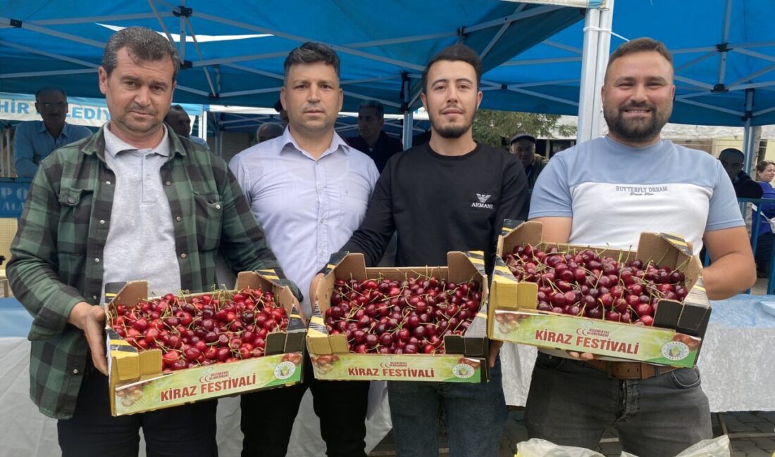 Manisa’nın Alaşehir ilçesinde, Uluderbent Kiraz Festivali kapsamında “en güzel kiraz”