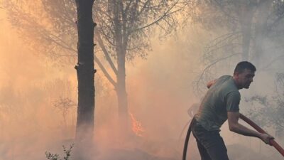  Aydın'ın Koçarlı ilçesinde çam fıstığı ağaçlarının bulunduğu kısımda çıkan yangında