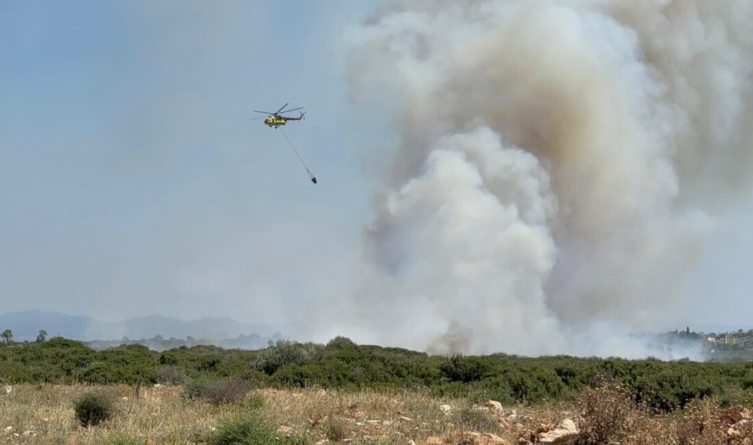 Aydın'ın Didim ilçesinde makilik alanda çıkan bir başka yangına daha