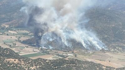 Aydın'ın Söke ilçesinde zeytin ağaçlarının bulunduğu alanda çıkan yangına havadan