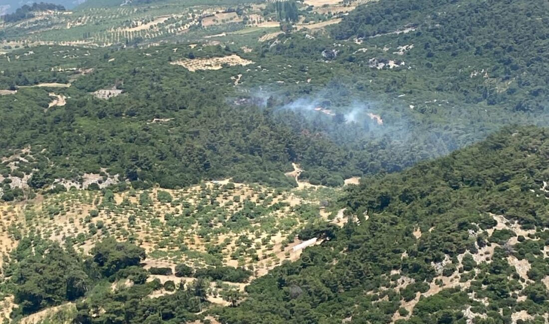 Aydın’ın Germencik ilçesinde çıkan orman yangınına havadan ve karadan müdahale