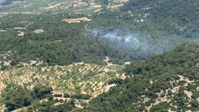 Aydın’ın Germencik ilçesinde çıkan orman yangınına havadan ve karadan müdahale