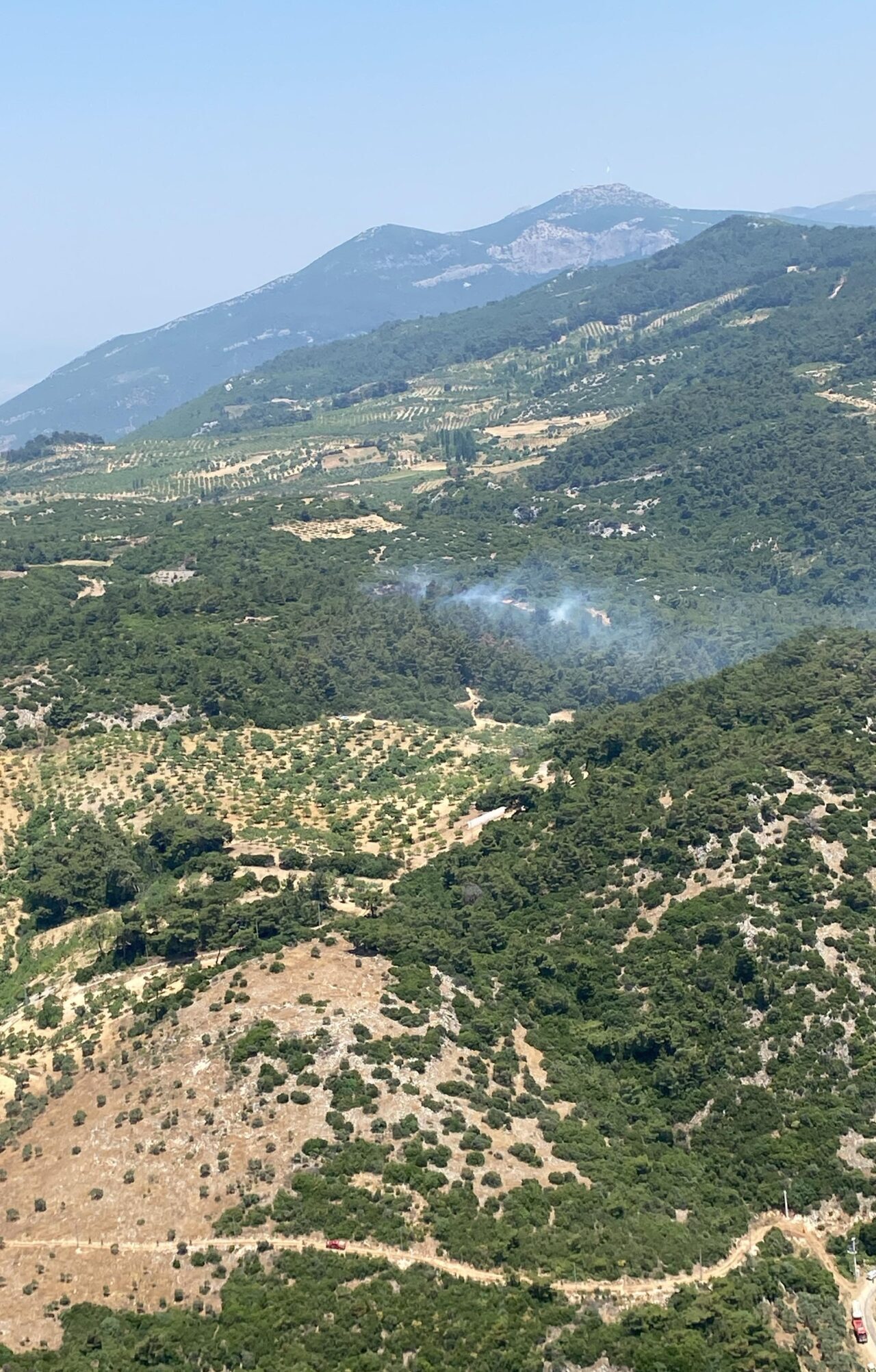 Aydın’ın Germencik ilçesinde çıkan orman yangınına havadan ve karadan müdahale