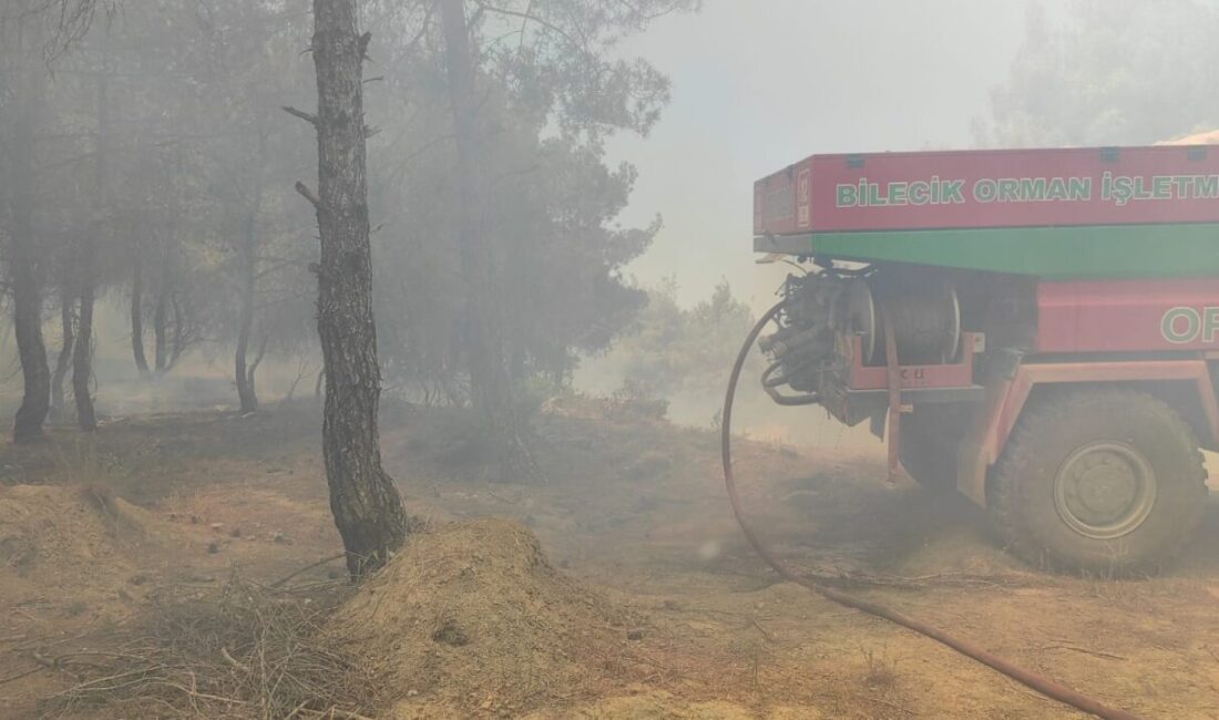 Bilecik’in buğday tarlasında çıkan ve ormanlık alana sıçrayan yangın kontrol
