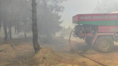 Bilecik’in buğday tarlasında çıkan ve ormanlık alana sıçrayan yangın kontrol