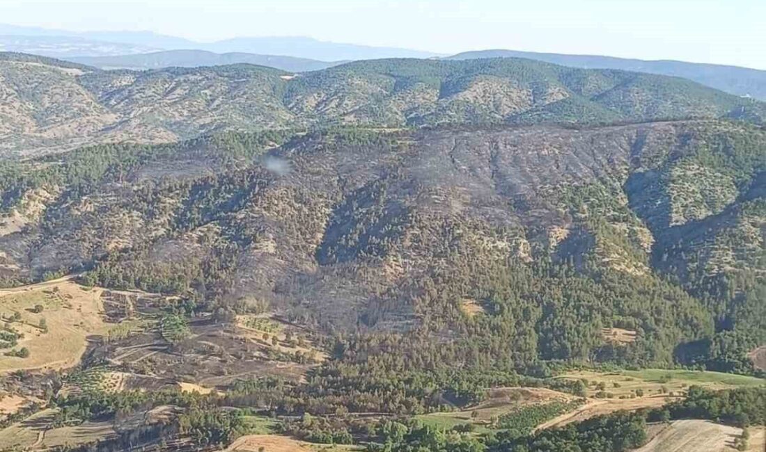 Bilecik’in Gölpazarı ilçesinde dün başlayan orman yangını bugün itibariyle tamamen