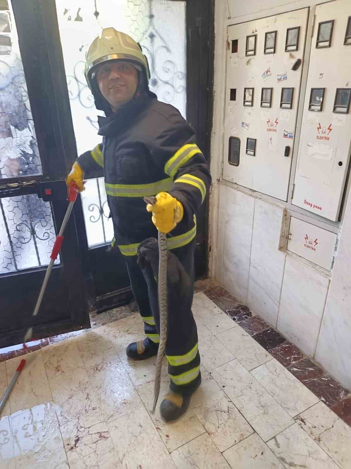 Bilecik’te bir apartmana giren engerek yılanı itfaiye ekiplerince yakalandı. Alınan