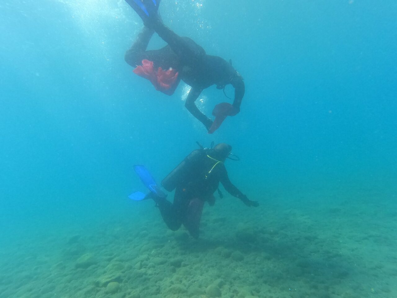 Muğla'nın Bodrum ilçesinde düzenlenen etkinlikte dalgıçlar, deniz dibinden 241 kilogram