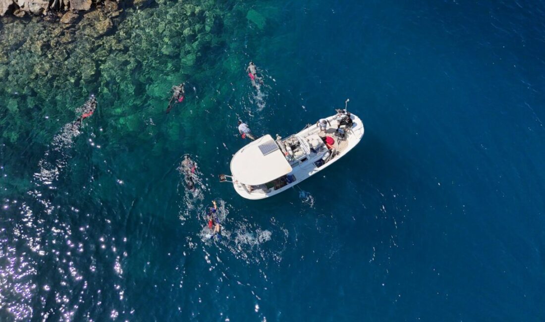 Muğla’nın Bodrum ilçesinde gönüllü dalgıçlarla yapılan deniz dibi temizliğinde 161