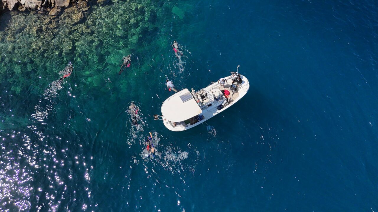 Muğla’nın Bodrum ilçesinde gönüllü dalgıçlarla yapılan deniz dibi temizliğinde 161