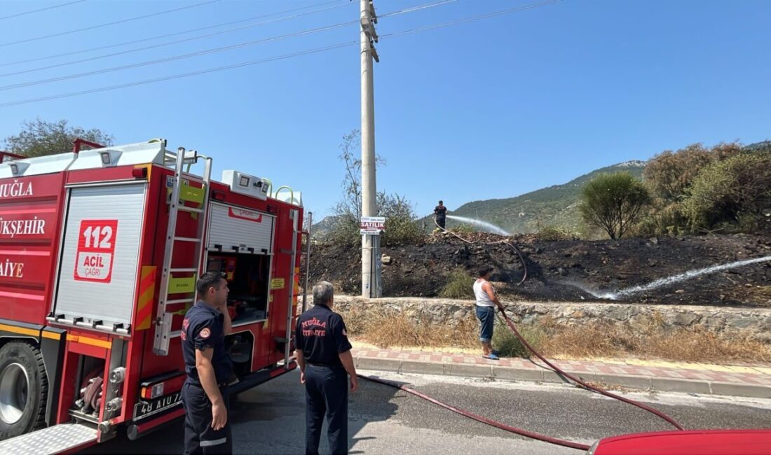  Muğla’nın Bodrum ilçesinde otluk alanda çıkan yangın söndürüldü.