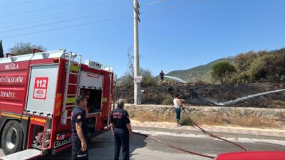  Muğla’nın Bodrum ilçesinde otluk alanda çıkan yangın söndürüldü.