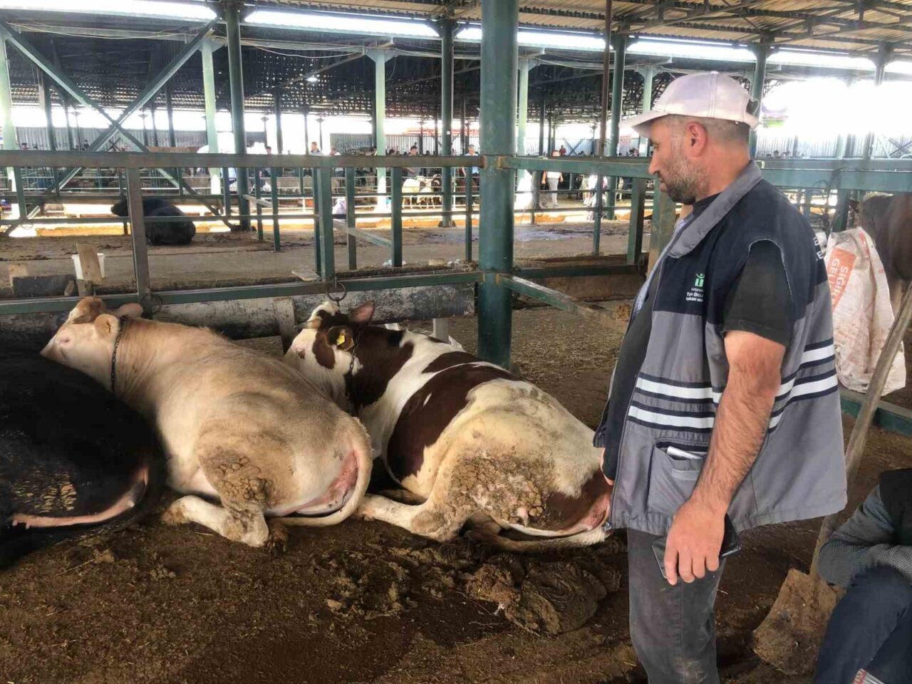 Eskişehir’de kurban satıcıları, büyükbaş hayvanların maliyetlerini çıkarmadığını belirtti.