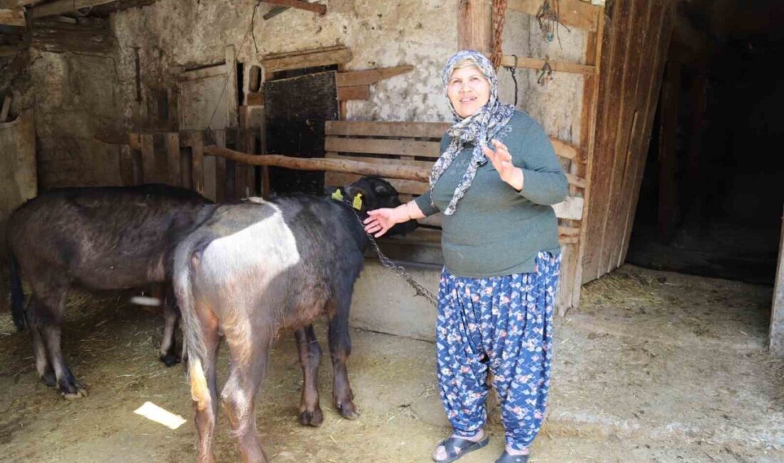 Büyükşehir Belediye Başkanı Ayşe Ünlüce, kırsal kalkınmayı destekleyen çalışmaların artarak