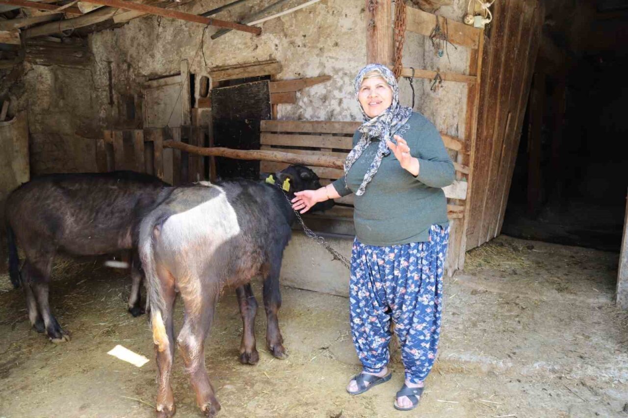 Büyükşehir Belediye Başkanı Ayşe Ünlüce, kırsal kalkınmayı destekleyen çalışmaların artarak
