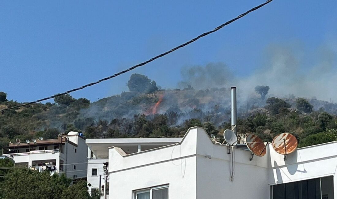 Muğla'nın Bodrum ilçesinde makilik alanda çıkan yangın havadan ve karadan