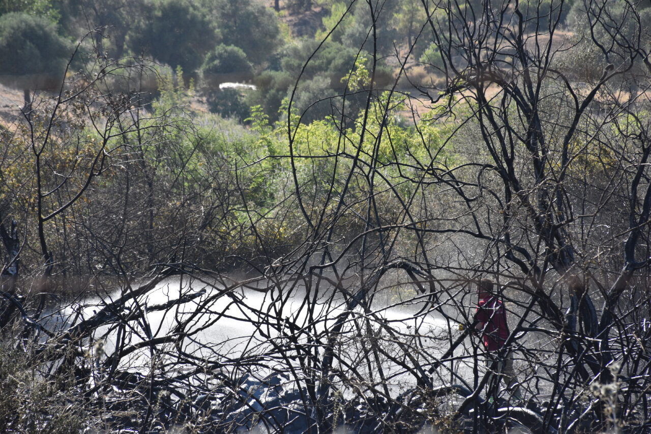 Muğla'nın Marmaris ilçesinde ziraat ve ormanlık alanda çıkan yangın, havadan