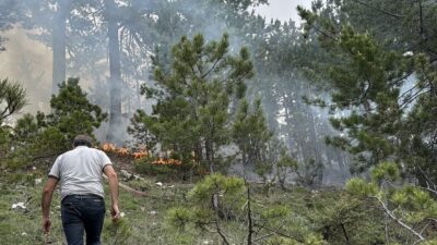  Denizli'nin Çameli ilçesinde çıkan orman yangını ekiplerin müdahalesiyle söndürüldü.