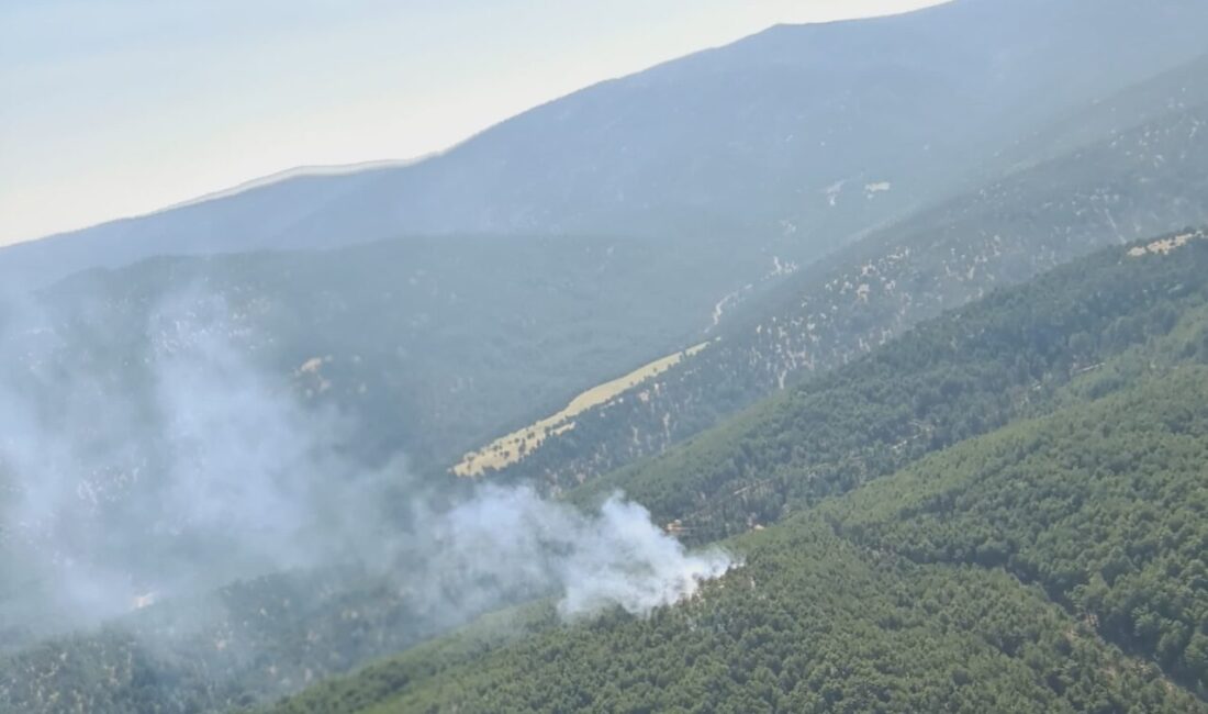Denizli'nin Çivril ilçesinde çıkan orman yangınına havadan ve karadan müdahale
