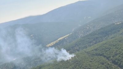 Denizli'nin Çivril ilçesinde çıkan orman yangınına havadan ve karadan müdahale