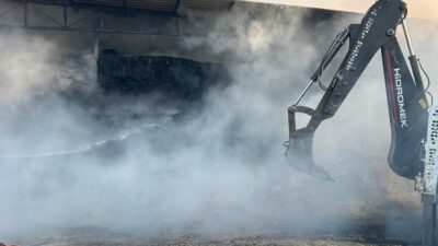 Aydın'ın Koçarlı ilçesinde çiftlikte çıkan yangında 4 hayvan telef oldu,