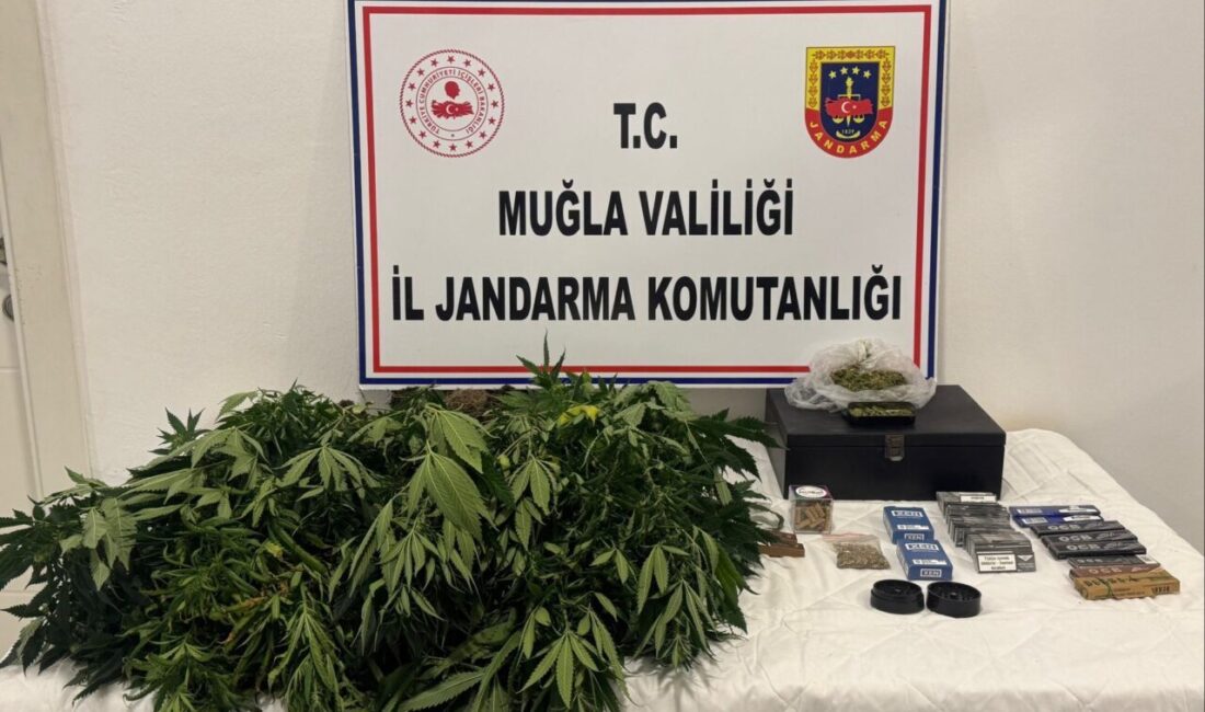 Muğla'nın Datça ilçesinde düzenlenen operasyonda, evde uyuşturucu madde yetiştirdiği öne