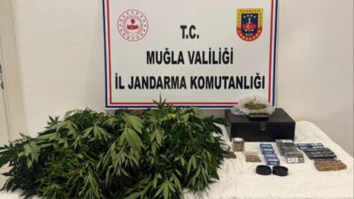Muğla'nın Datça ilçesinde düzenlenen operasyonda, evde uyuşturucu madde yetiştirdiği öne