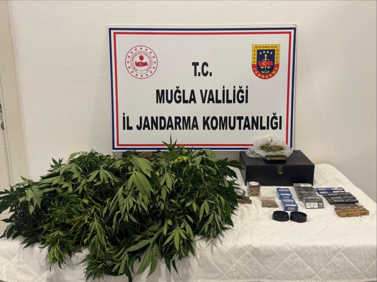 Muğla'nın Datça ilçesinde düzenlenen operasyonda, evde uyuşturucu madde yetiştirdiği öne