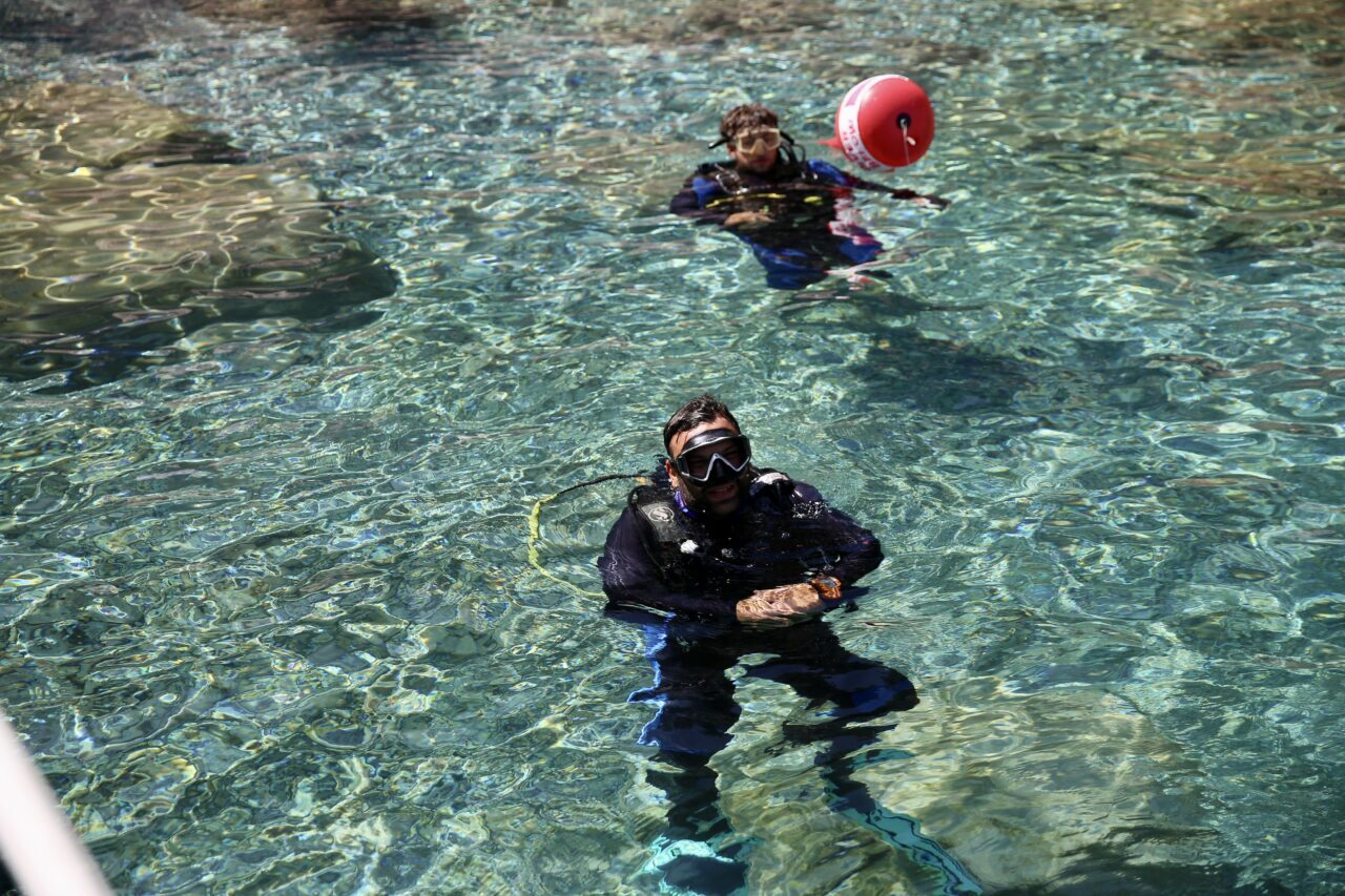  Muğla'nın Fethiye ilçesindeki berrak koylarda dalış yapan ziyaretçiler, su altı