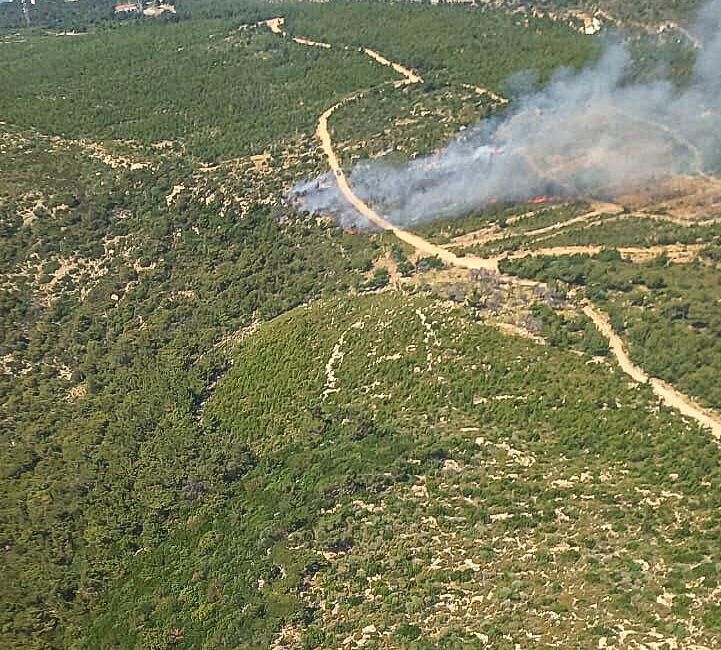 İzmir'in Foça ilçesinde çıkan orman yangınına havadan ve karadan müdahale