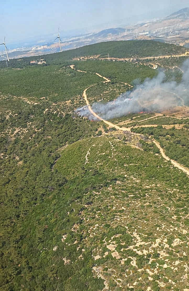 İzmir'in Foça ilçesinde çıkan orman yangınına havadan ve karadan müdahale