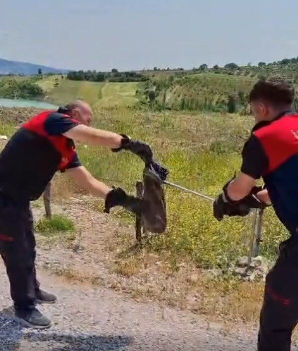 Kütahya’nın Gediz ilçesinde, yaz başında mevsim normallerinin üzerinde seyreden hava