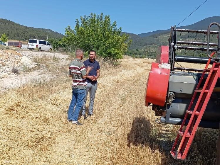 Gölpazarı İlçe Tarım ve Orman Müdürlüğü ekipleri, biçerdöver ve hasat