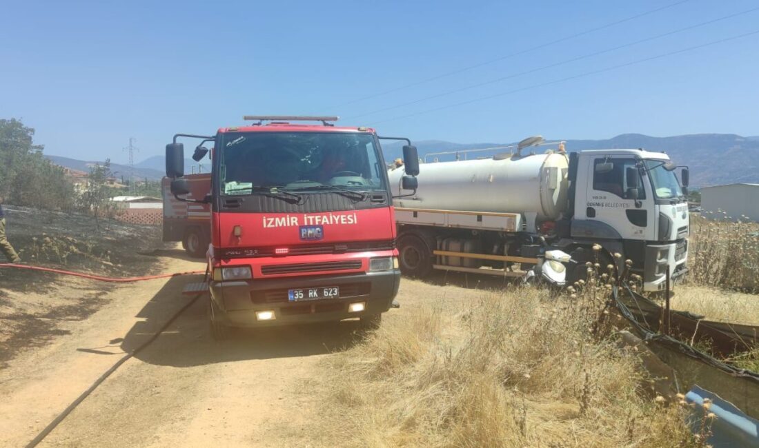  İzmir'in Torbalı ilçesinde çıkan orman yangını havadan ve karadan müdahaleyle