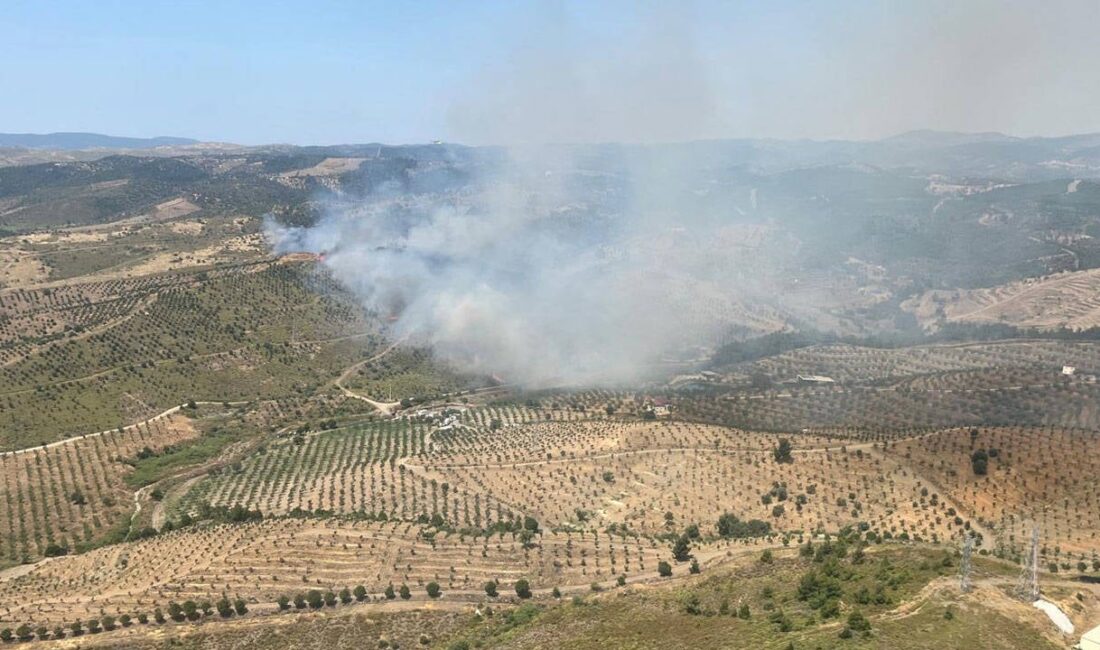 YANGININ KONTROL ALTINA ALINDIĞI BİLGİSİ EKLENDİ