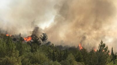 İzmir’in Karaburun ilçesinde ormanlık alanda çıkan yangına havadan ve karadan
