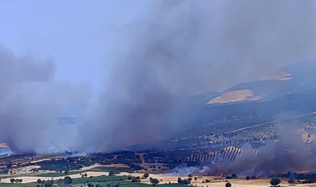  İzmir'in Kınık ilçesinde çıkan orman yangınına havadan ve karadan müdahale