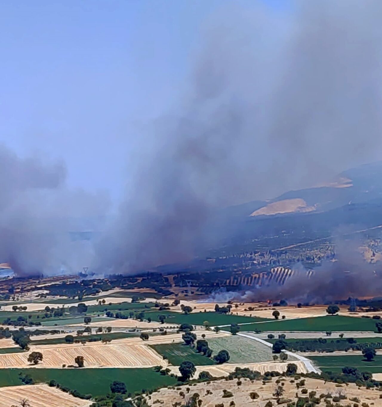  İzmir'in Kınık ilçesinde çıkan orman yangınına havadan ve karadan müdahale