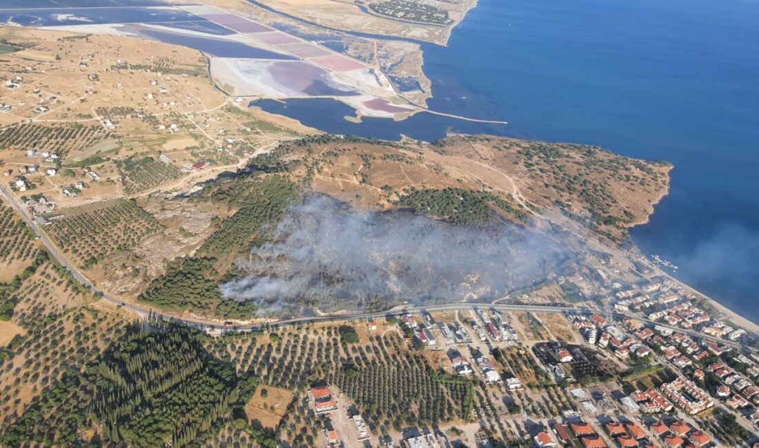  İzmir'in Dikili ilçesinde makilik ve çamlık alanda çıkan yangına karadan