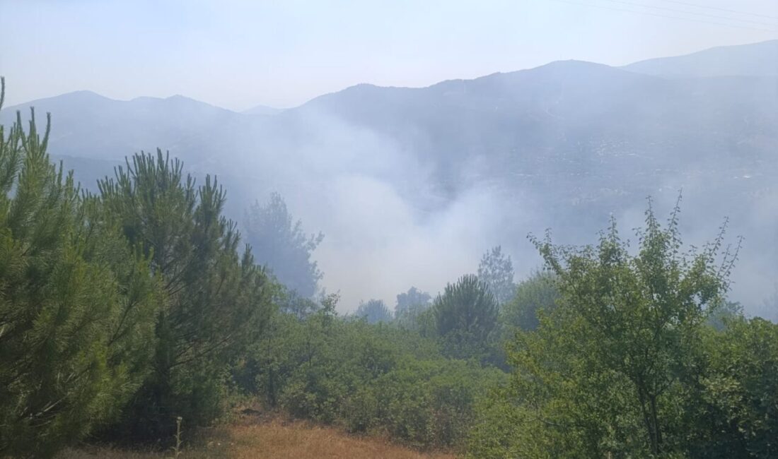 İİzmir’in Ödemiş ilçesinde otluk alanda çıkan yangın havadan ve karadan